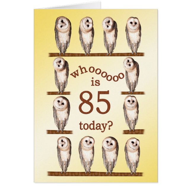 85th birthday, Curious owls card. (Front)