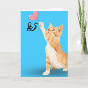 85th birthday tabby cat card