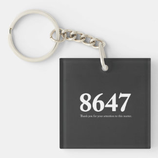 8647 KEY RING