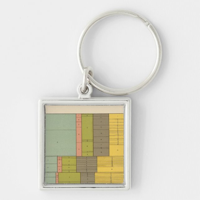 87 Occupations by race, nativity 1900 Key Ring (Front)