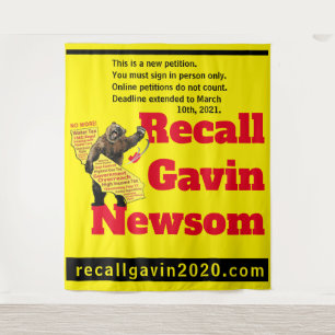 88x104 recallgavin2020 tapestry