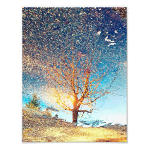 8.5"x11" Photo Print Cherry Tree Puddle