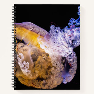 8.5" x 11" Spiral Notebook