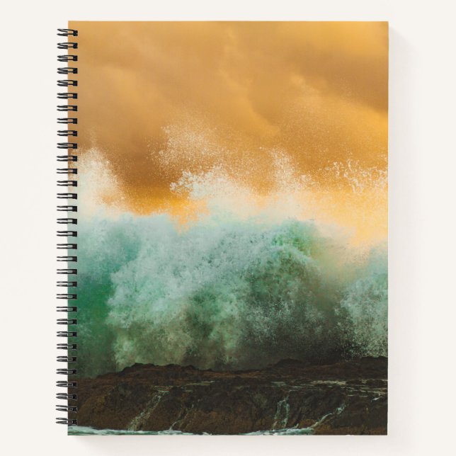 8.5" x 11" Spiral Notebook (Front)