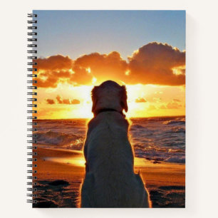 8.5" x 11" Spiral Notebook