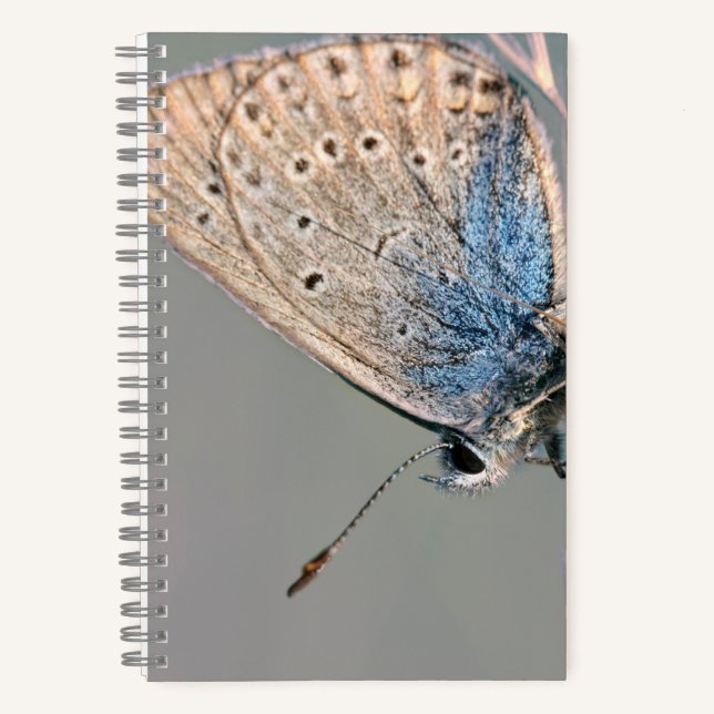 8.5" x 8.5" Spiral Notebook (Front)