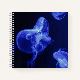 8.5" x 8.5" Spiral Notebook