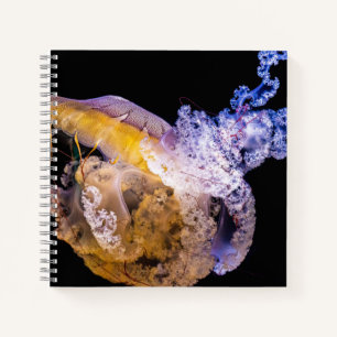 8.5" x 8.5" Spiral Notebook