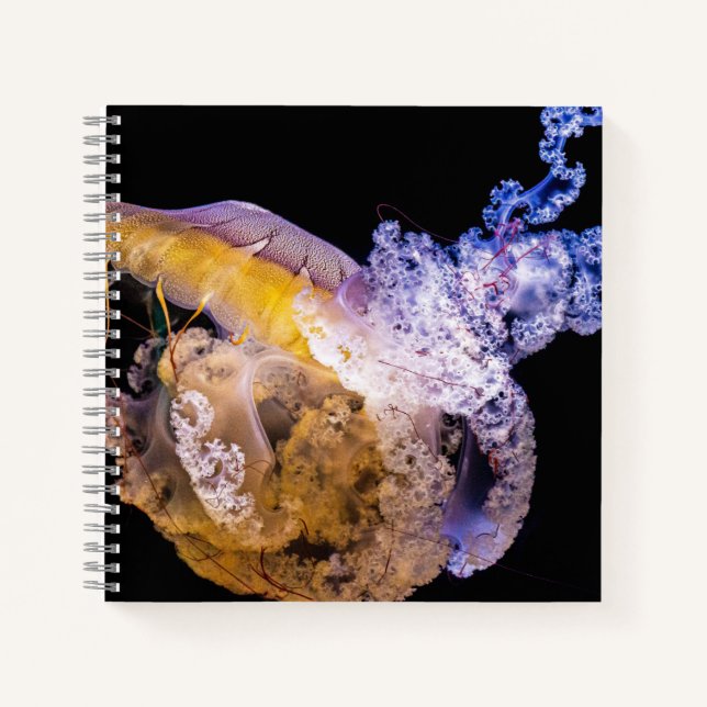 8.5" x 8.5" Spiral Notebook (Front)