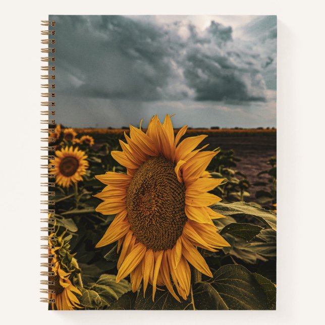 8.5x11 Notebook (Front)