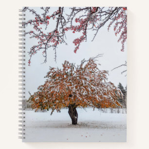 8.5x11 Notebook