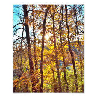 8 by 10 my view photo print