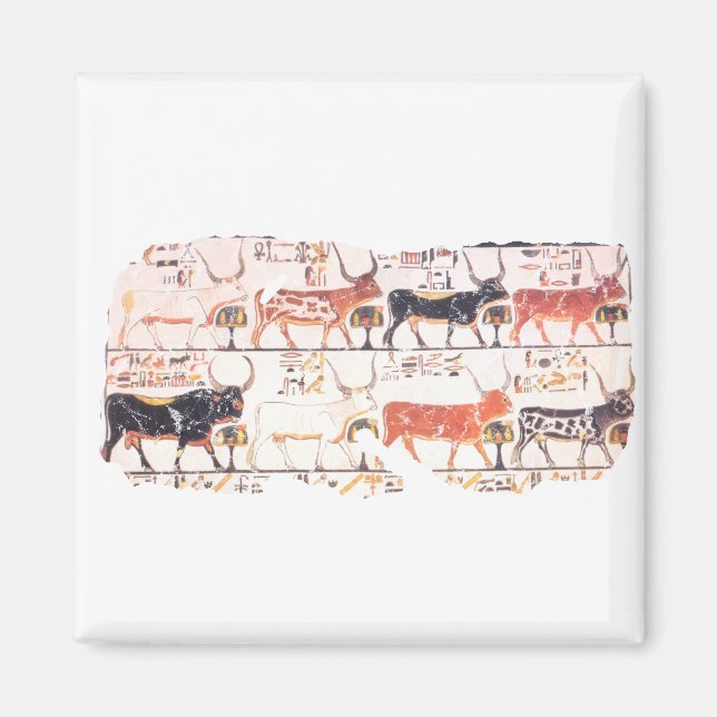 8 cows magnet (Front)