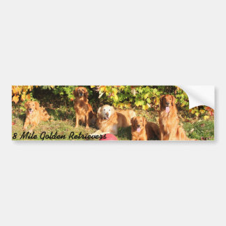 8 Mile Golden Retriever bumper sticker