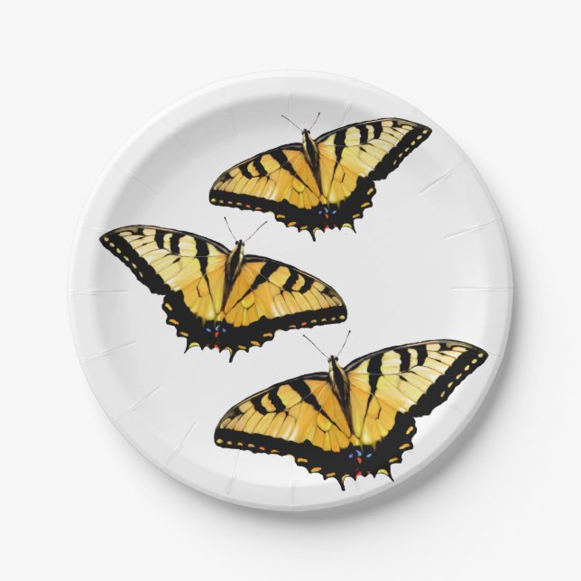 8 Paper Plates Tiger Swallowtail Butterflies (Front)