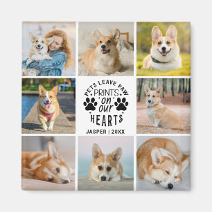 8 Photo Collage Pet Memorial Remembrance Magnet