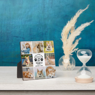 8 Photo Collage Pet Memorial Remembrance Plaque