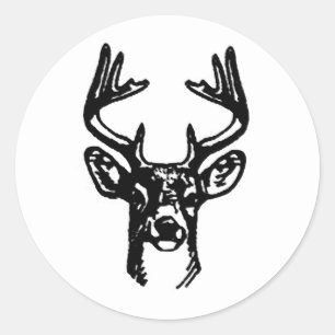 8 Point Buck White Tail Deer Classic Round Sticker