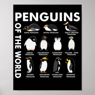 8 Rarest Penguins of the World Animals Penguin Poster