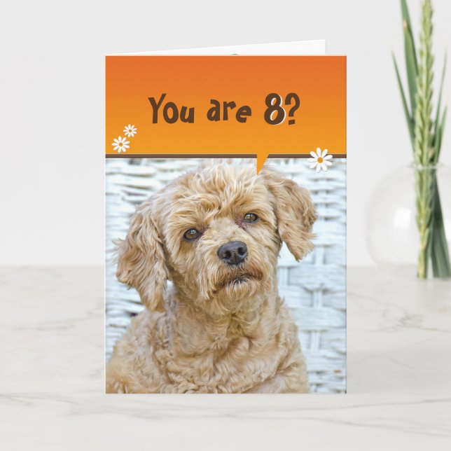 8th birthday brown poodle on wicker card (Front)