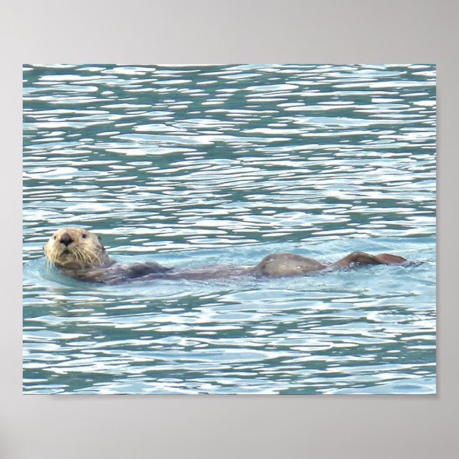 8x10  Poster Paper (Matte) of otter (Front)