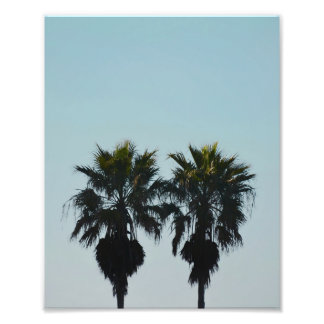 8x10 Summer Palm Trees Photo Print