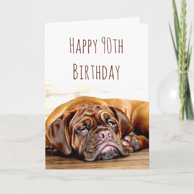 90th Birthday Sad Dog Stay Pawsitive Humor Card (Front)