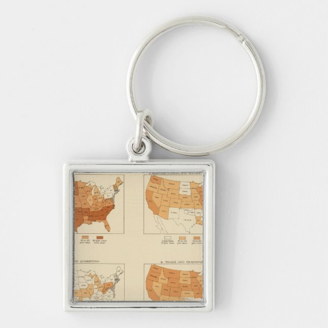 91 Proportions in occupations 1900 Key Ring (Front)