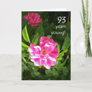 93rd Birthday Card - Pink Roses