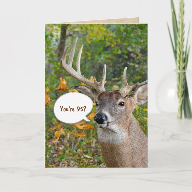 95th birthday buck in woods card (Front)