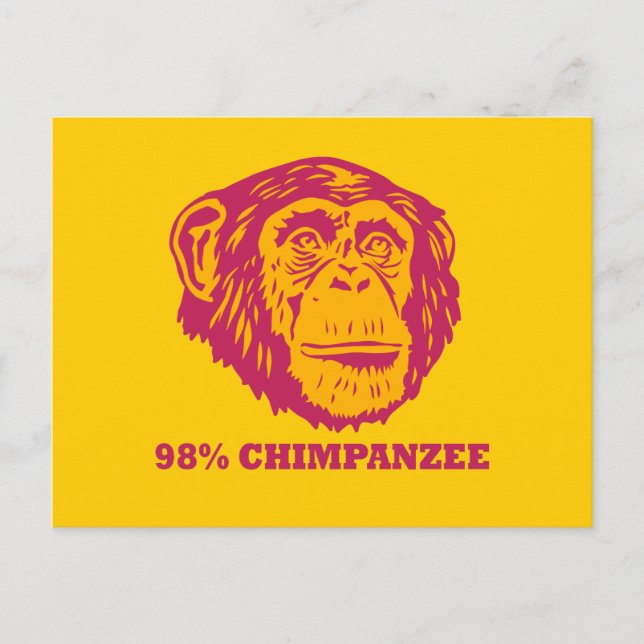 98% Chimpanzee Postcard (Front)