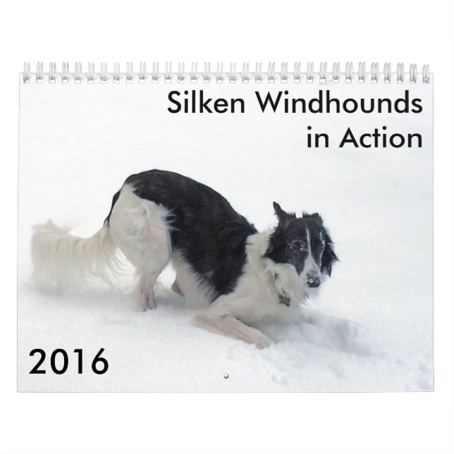 9 2016 Silken Windhounds in Action Calendar (Cover)
