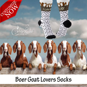 9 Boer Goats at the Fence  Socks