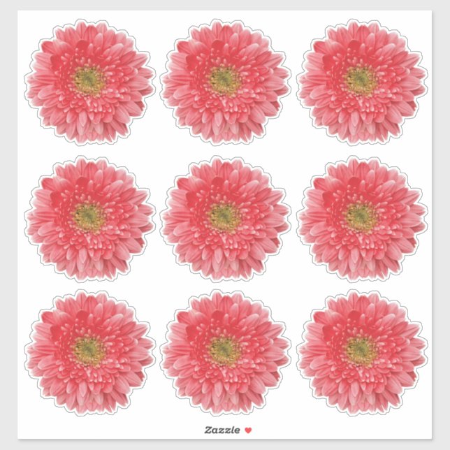 9 Coral Gerbera Daisy Flower Kiss-Cut Stickers (Sheet)
