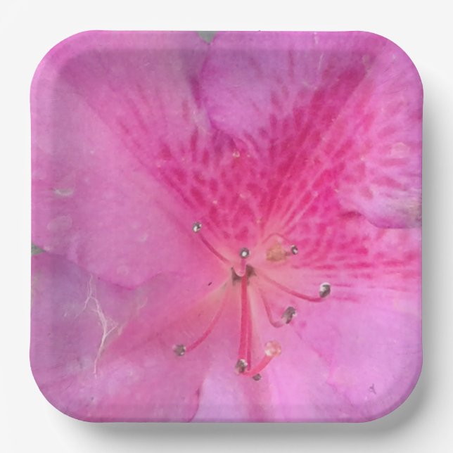 9 Inch Square Paper Plate (Front)