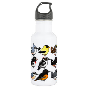 9 Northeast USA Backyard Birds 532 Ml Water Bottle
