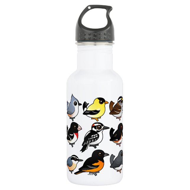 9 Northeast USA Backyard Birds 532 Ml Water Bottle (Front)