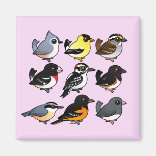 9 Northeast USA Backyard Birds Magnet