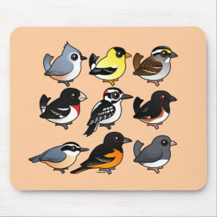 9 Northeast USA Backyard Birds Mouse Pad