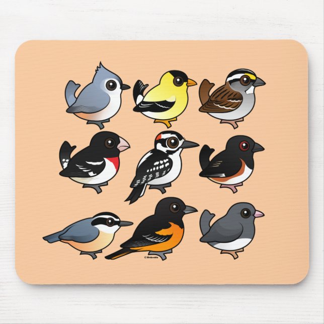 9 Northeast USA Backyard Birds Mouse Pad (Front)