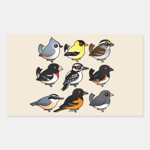 9 Northeast USA Backyard Birds Rectangular Sticker