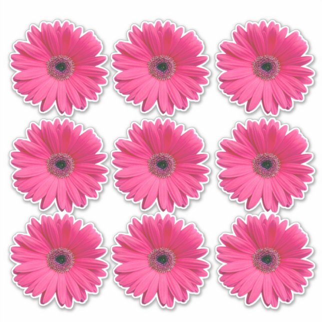 9 Pink Gerbera Daisy Flower Kiss-Cut Stickers (Front)