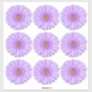 9 Purple Gerber Daisy Flower Kiss-Cut Stickers