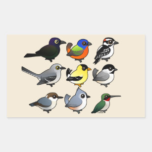 9 Southeast USA Backyard Birds Rectangular Sticker