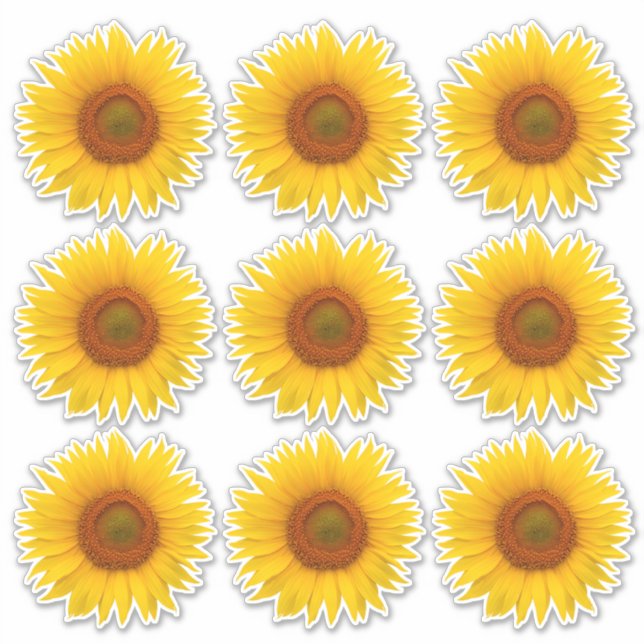 9 Yellow Orange Sunflower Flower Kiss-Cut Stickers (Front)