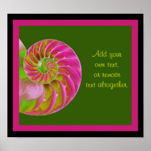 A001 Chambered Nautilus - Customisable Poster
