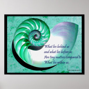 A01 Nautilus Shell Poster with Inspirational Quote