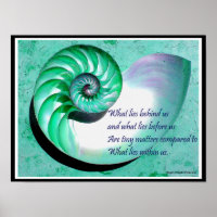A01b Nautilus Shell Poster - Inspirational Quote