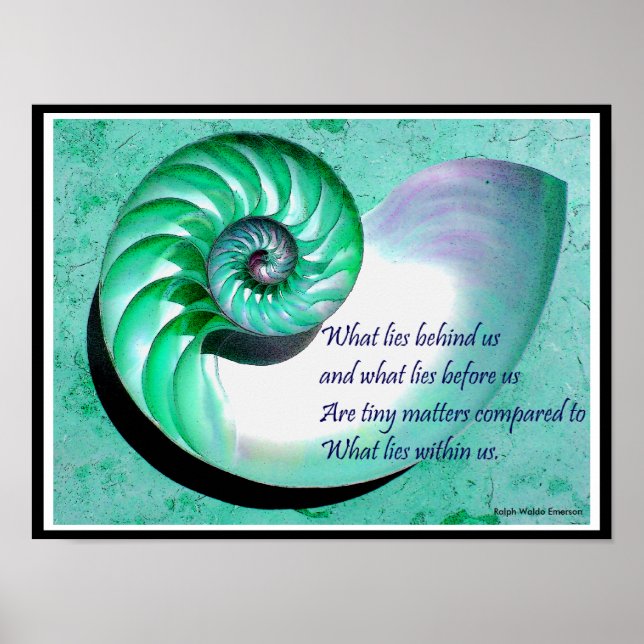 A01b Nautilus Shell Poster - Inspirational Quote (Front)