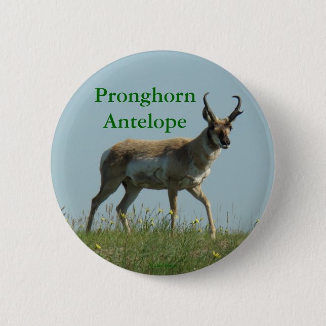 A10 Pronghorn Antelope 6 Cm Round Badge (Front)